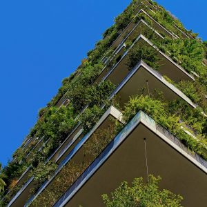 Building with plants